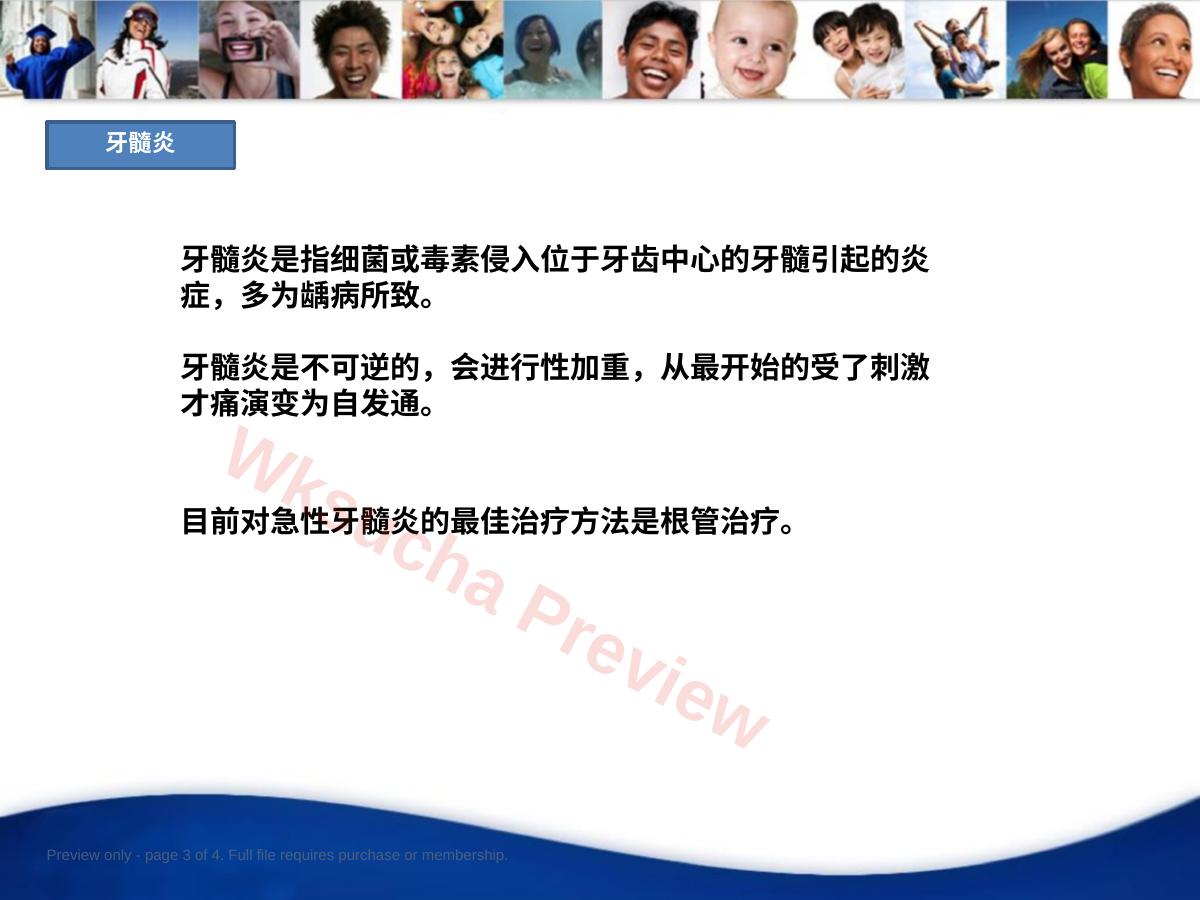 预览第 3 页