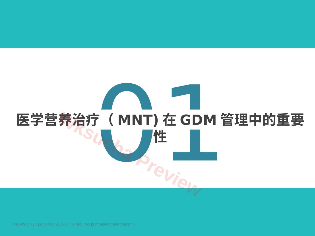 预览第 3 页