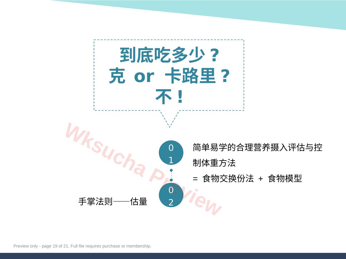 预览第 19 页