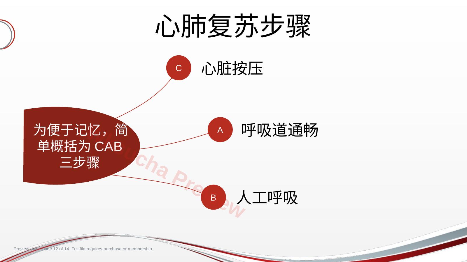 预览第 12 页