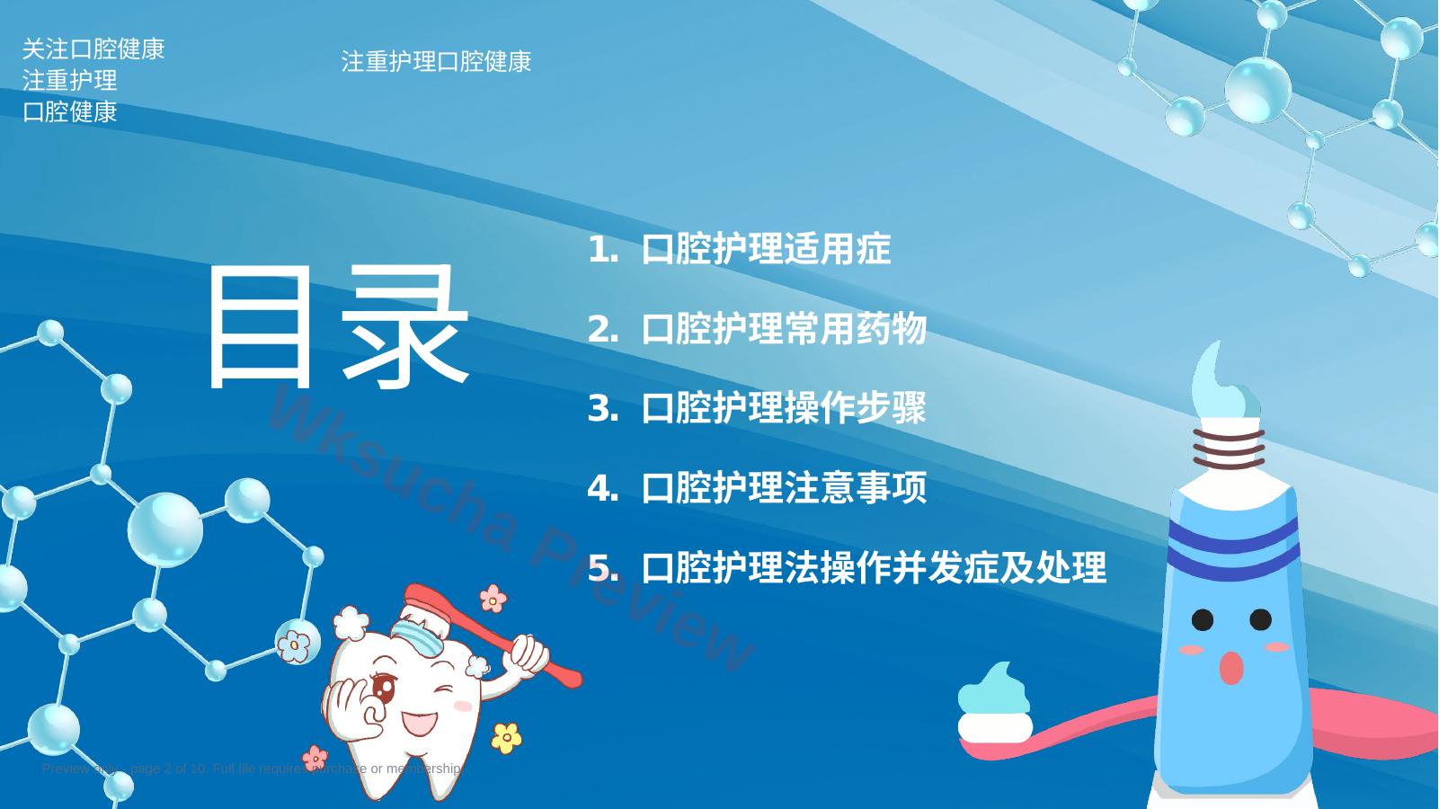 预览第 2 页