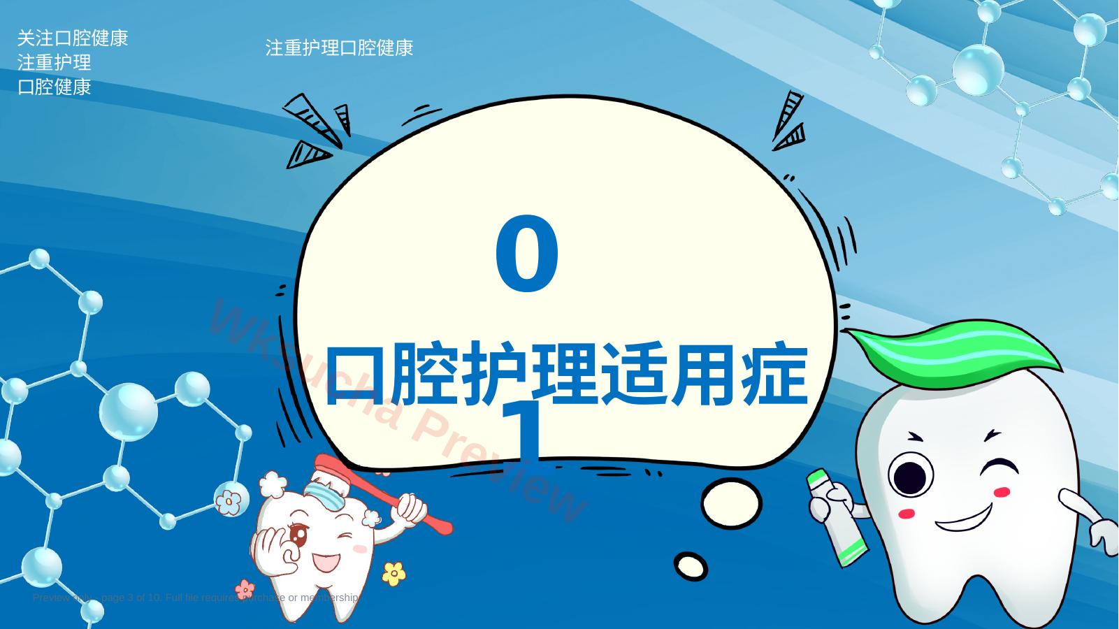 预览第 3 页