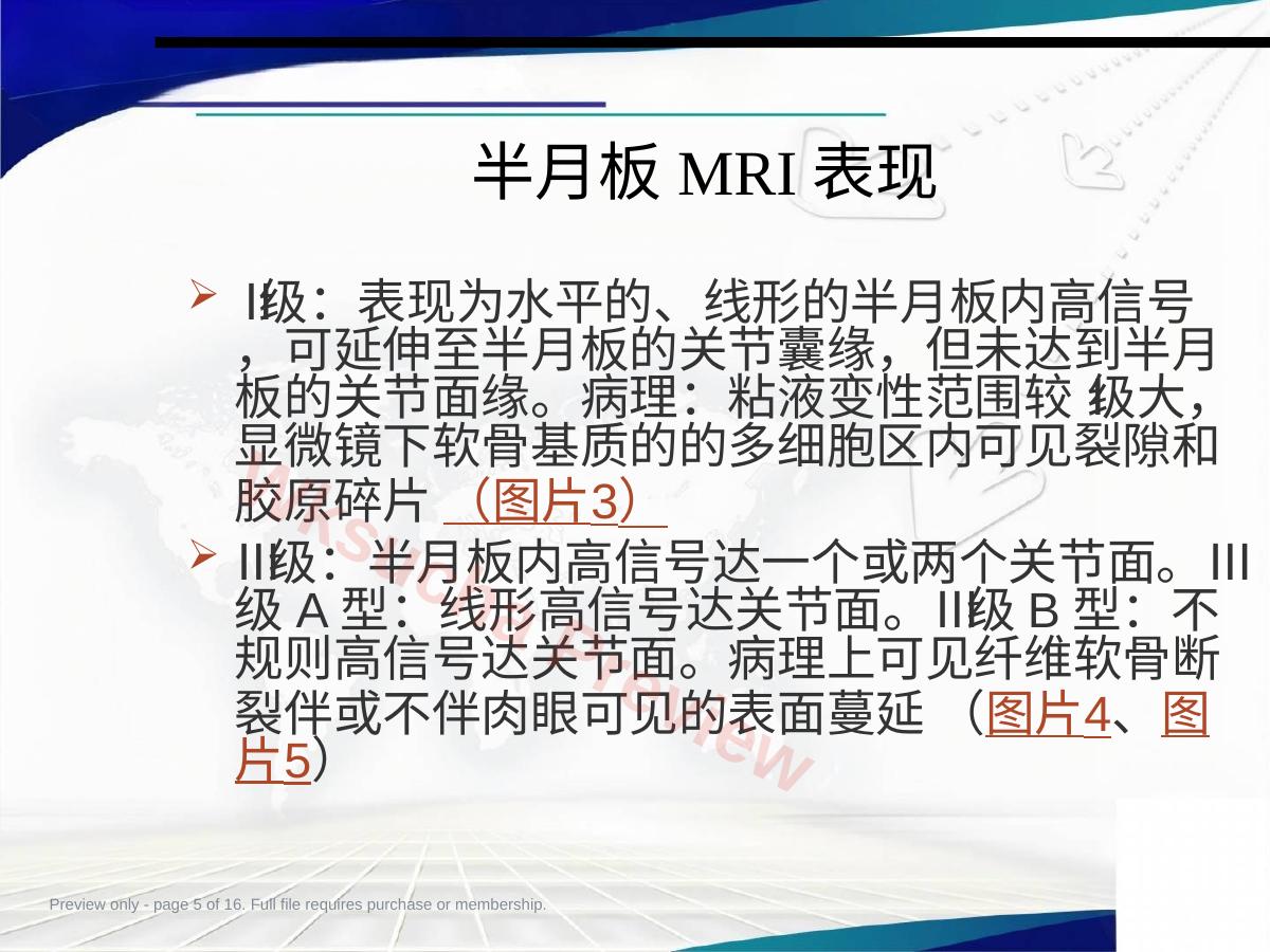 预览第 5 页