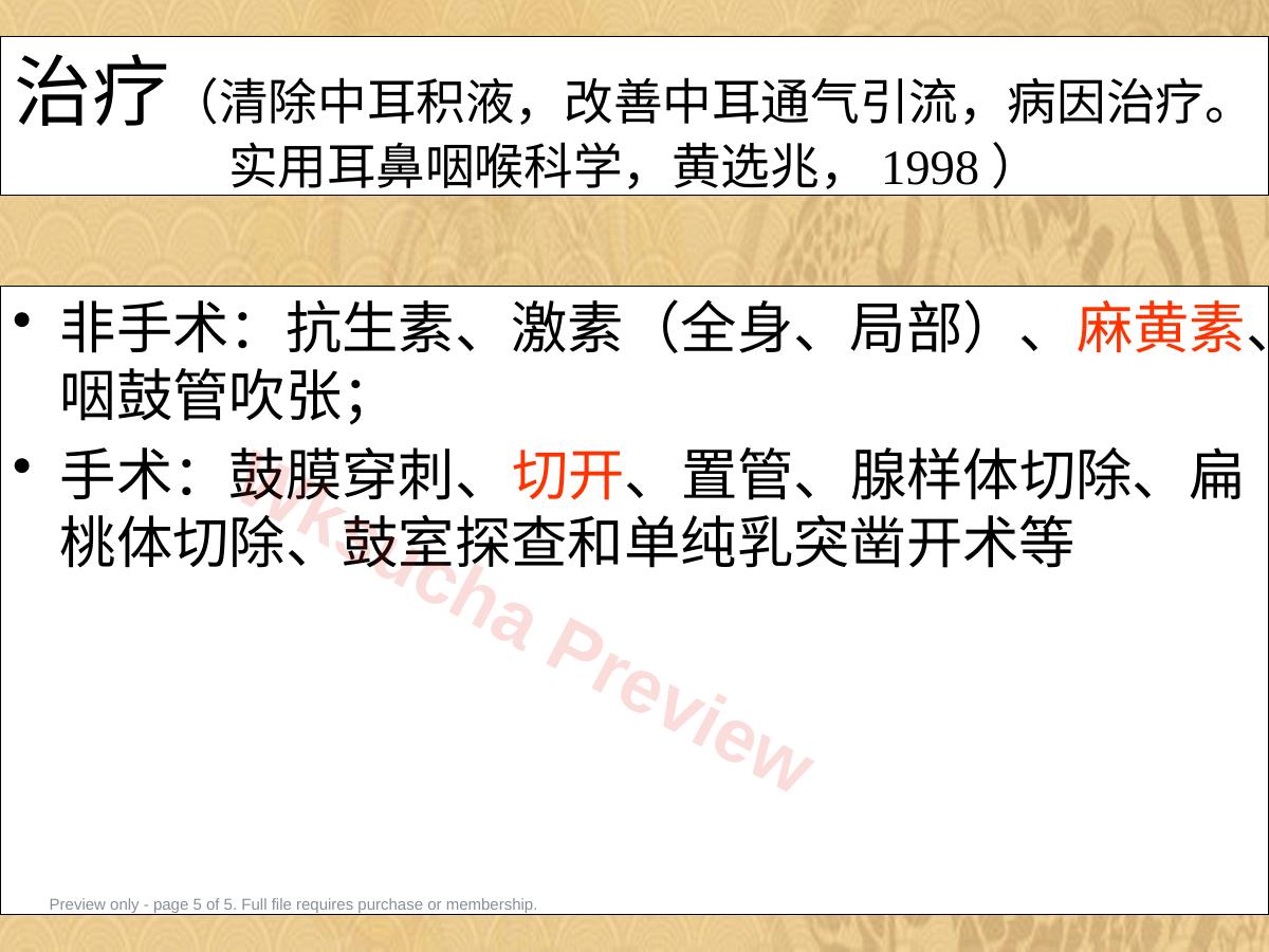 预览第 5 页