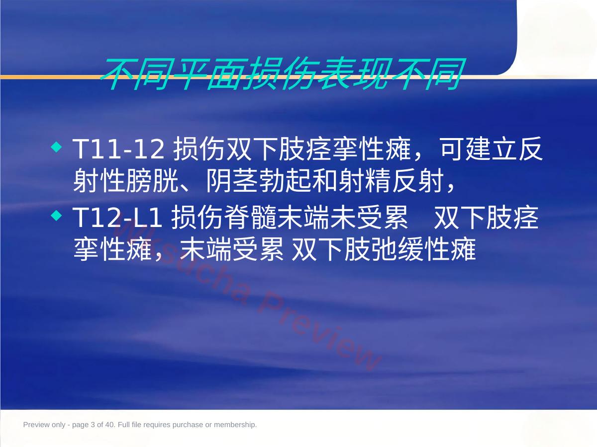 预览第 3 页