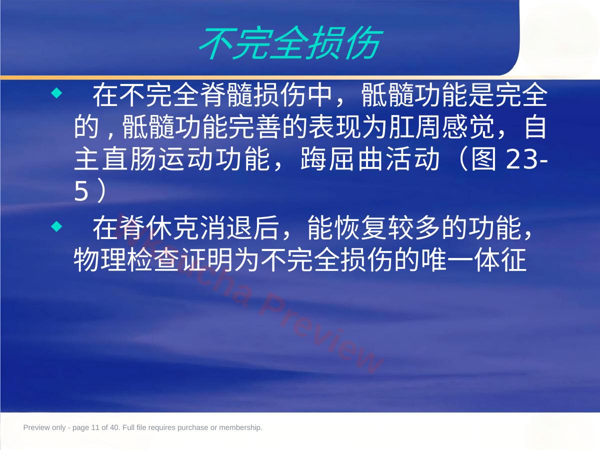 预览第 11 页