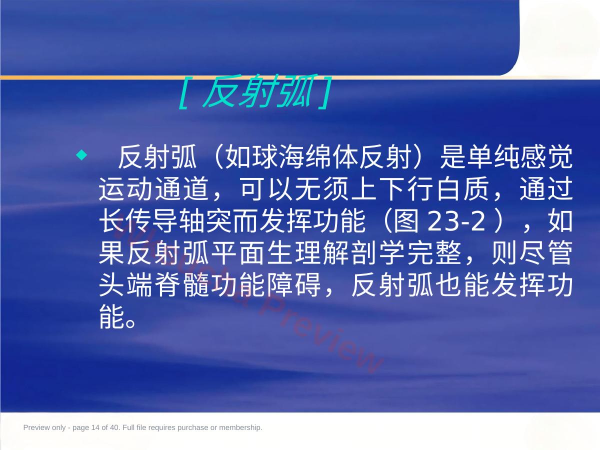 预览第 14 页