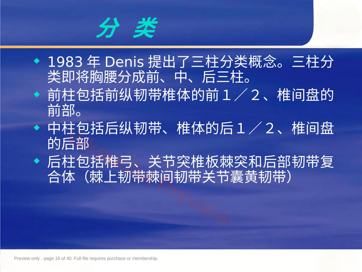 预览第 19 页