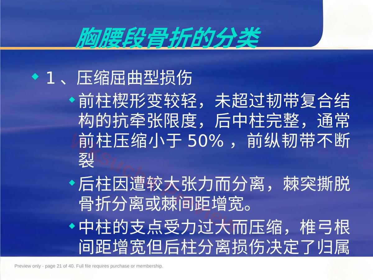 预览第 21 页