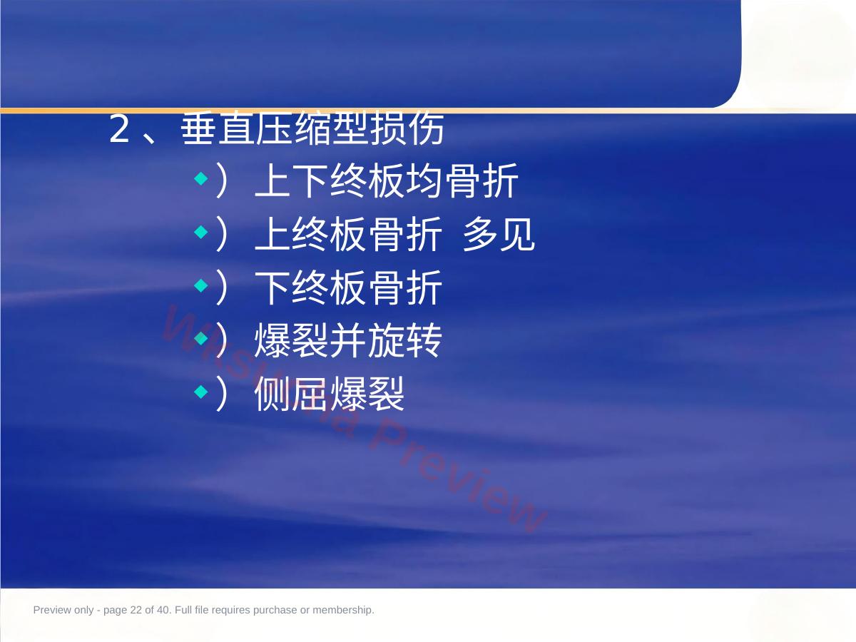 预览第 22 页