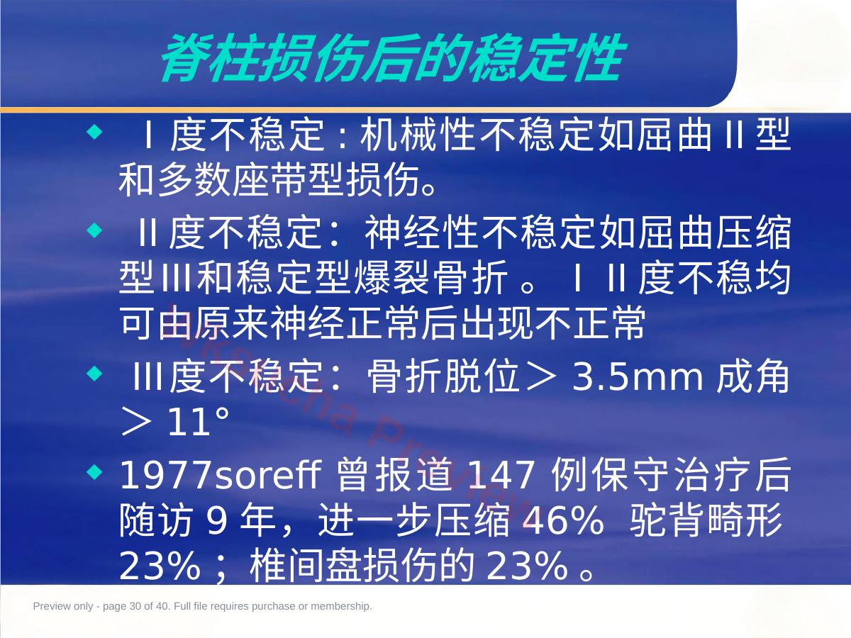 预览第 30 页