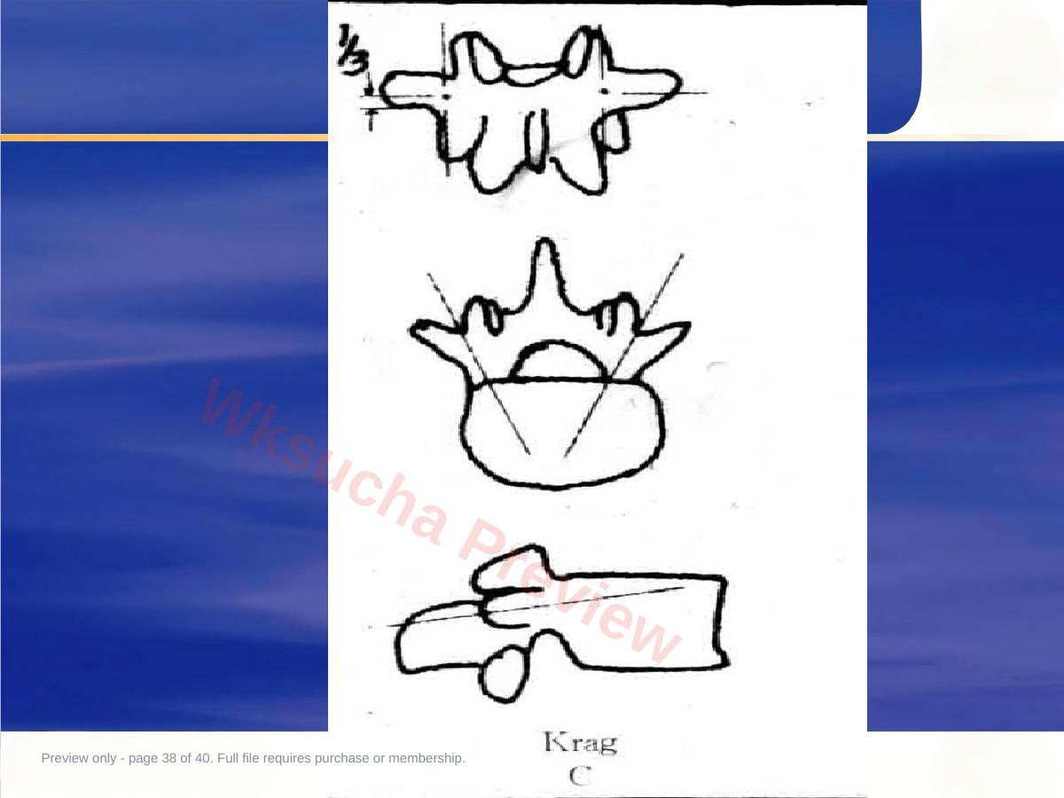 预览第 38 页
