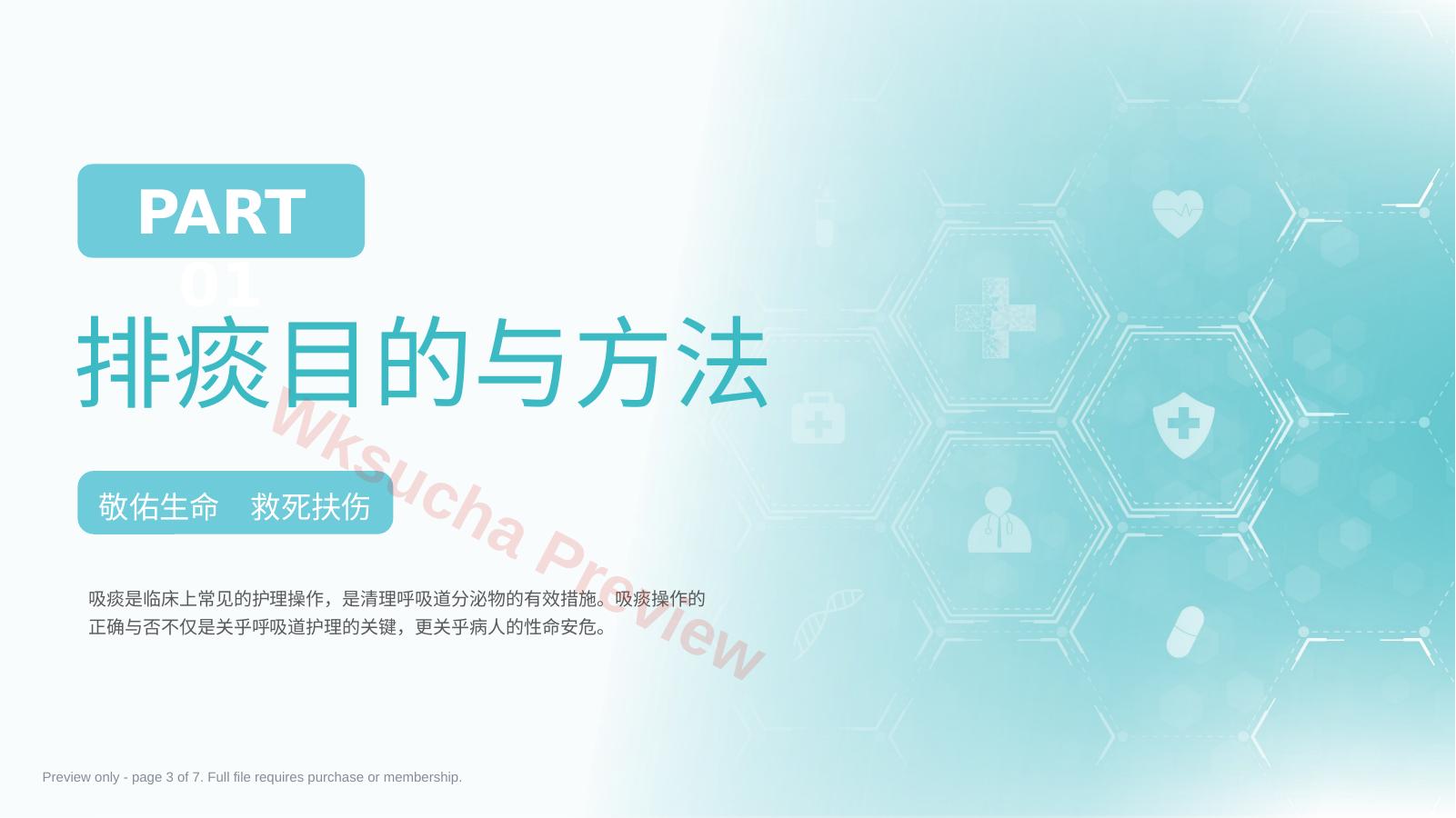 预览第 3 页
