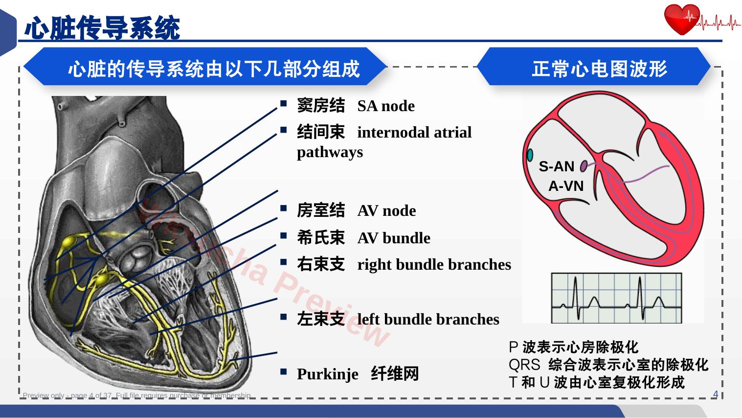 预览第 4 页