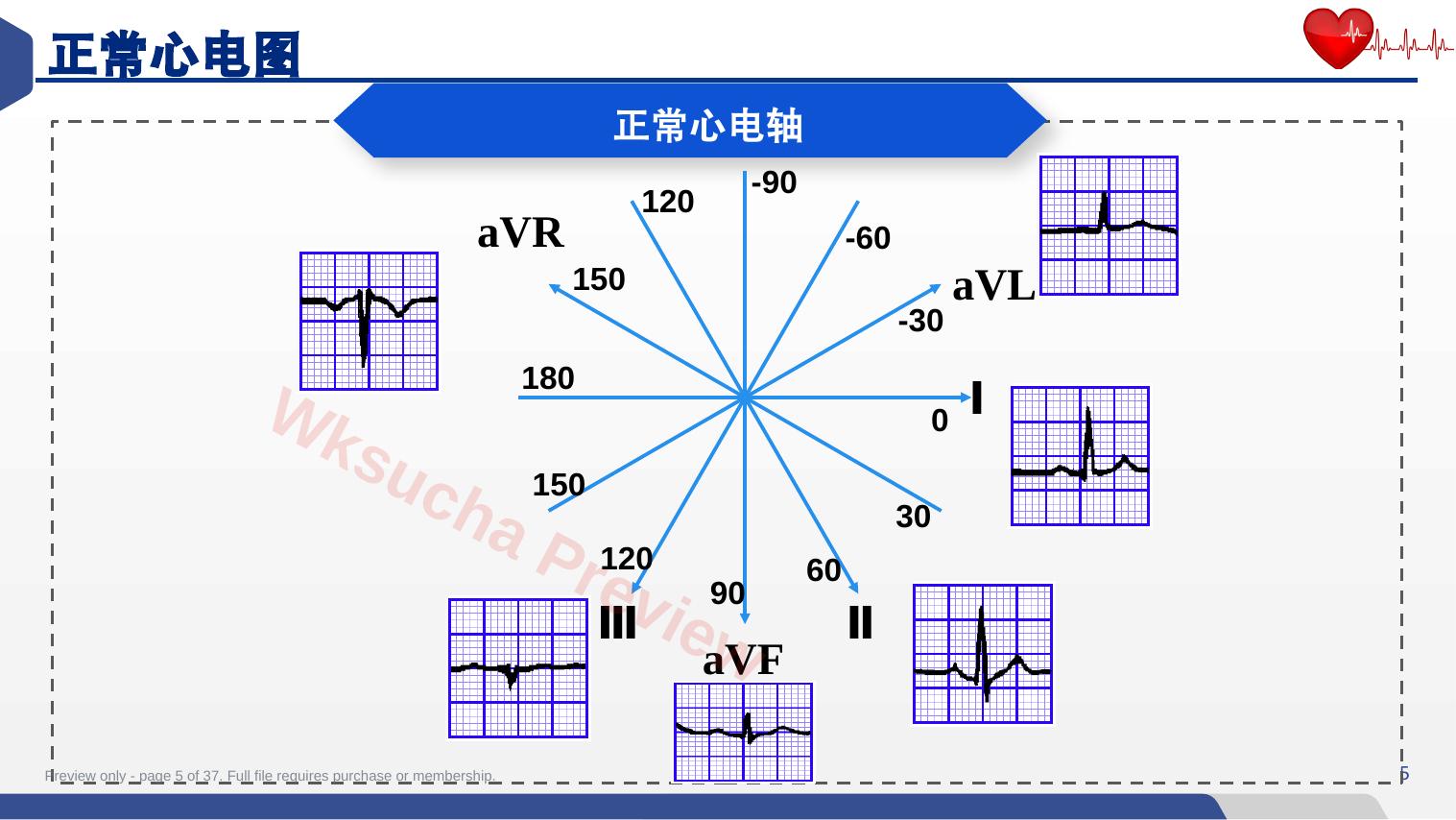 预览第 5 页