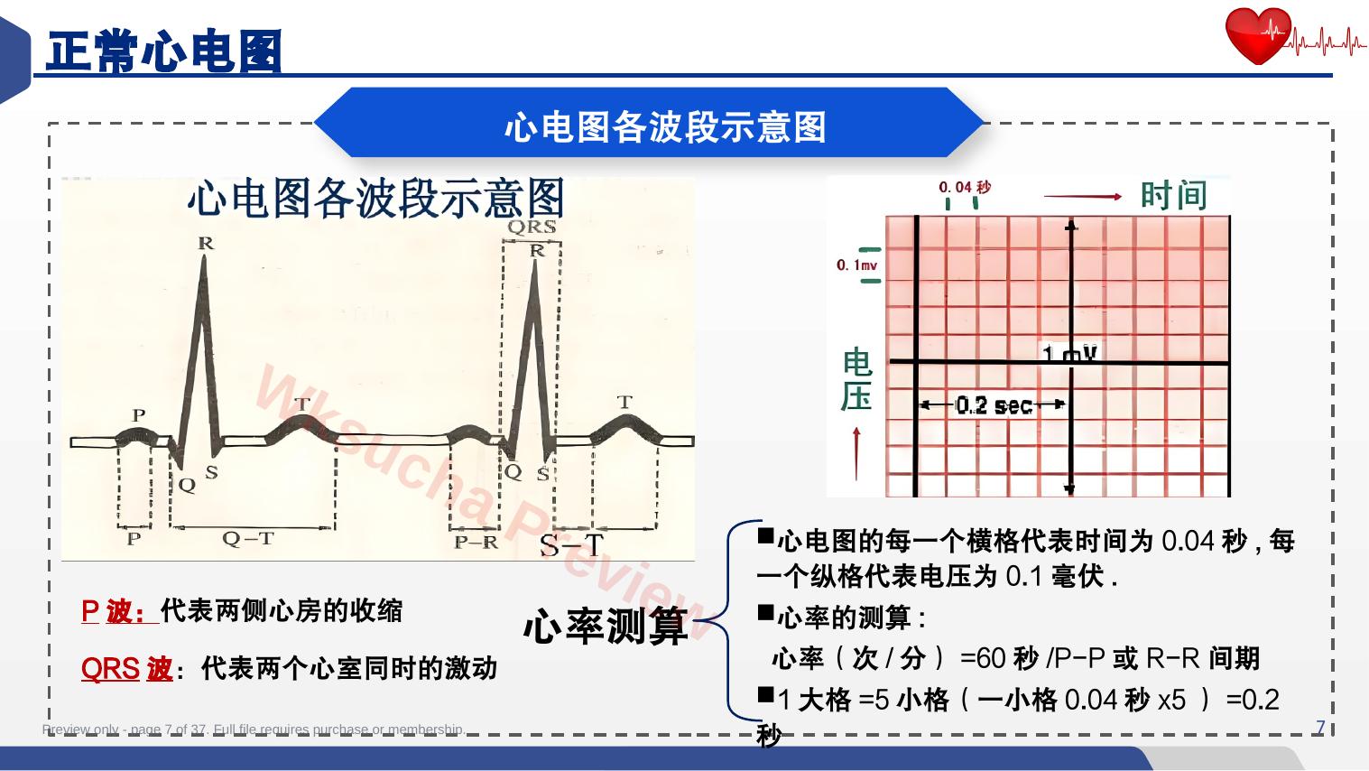 预览第 7 页