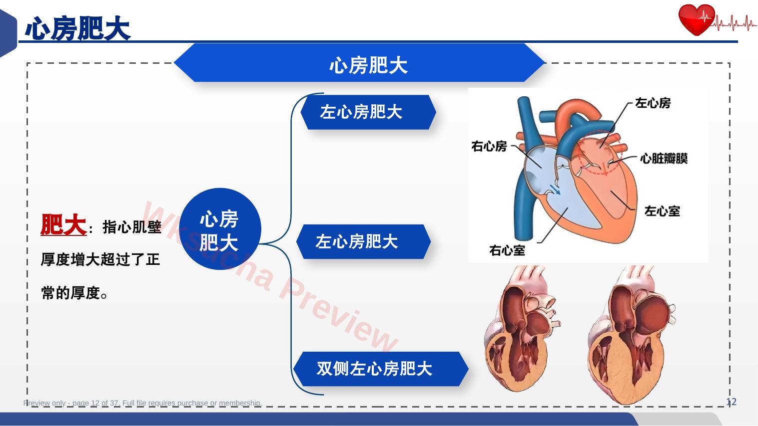 预览第 12 页
