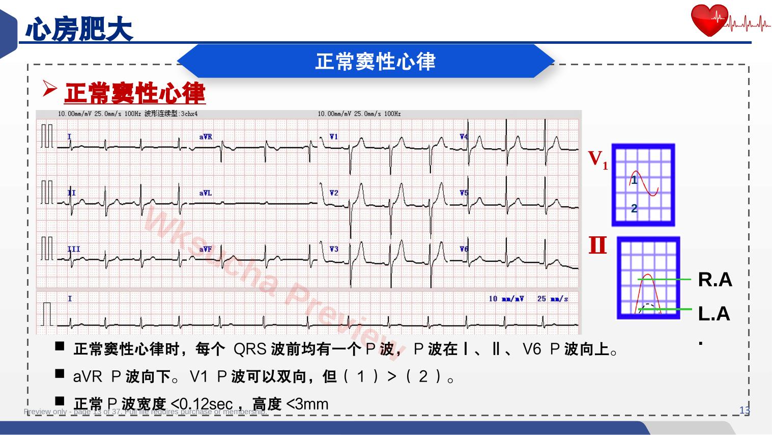 预览第 13 页