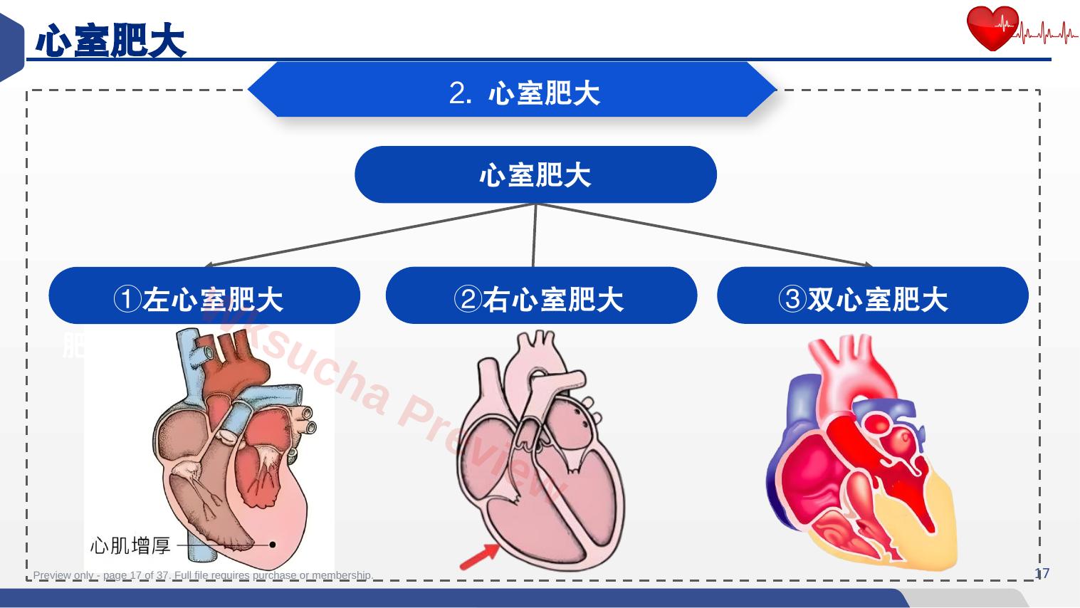 预览第 17 页