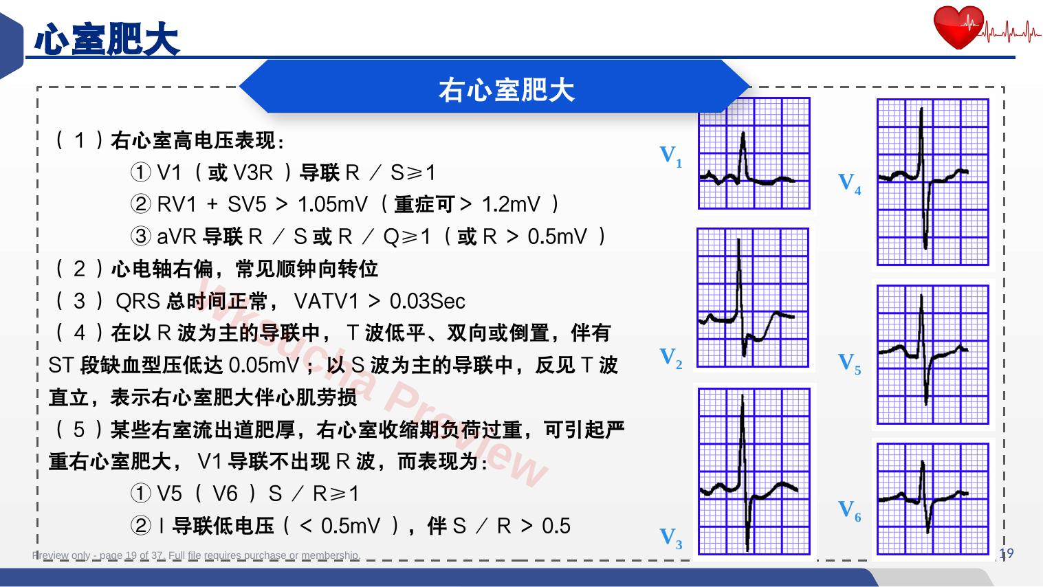 预览第 19 页