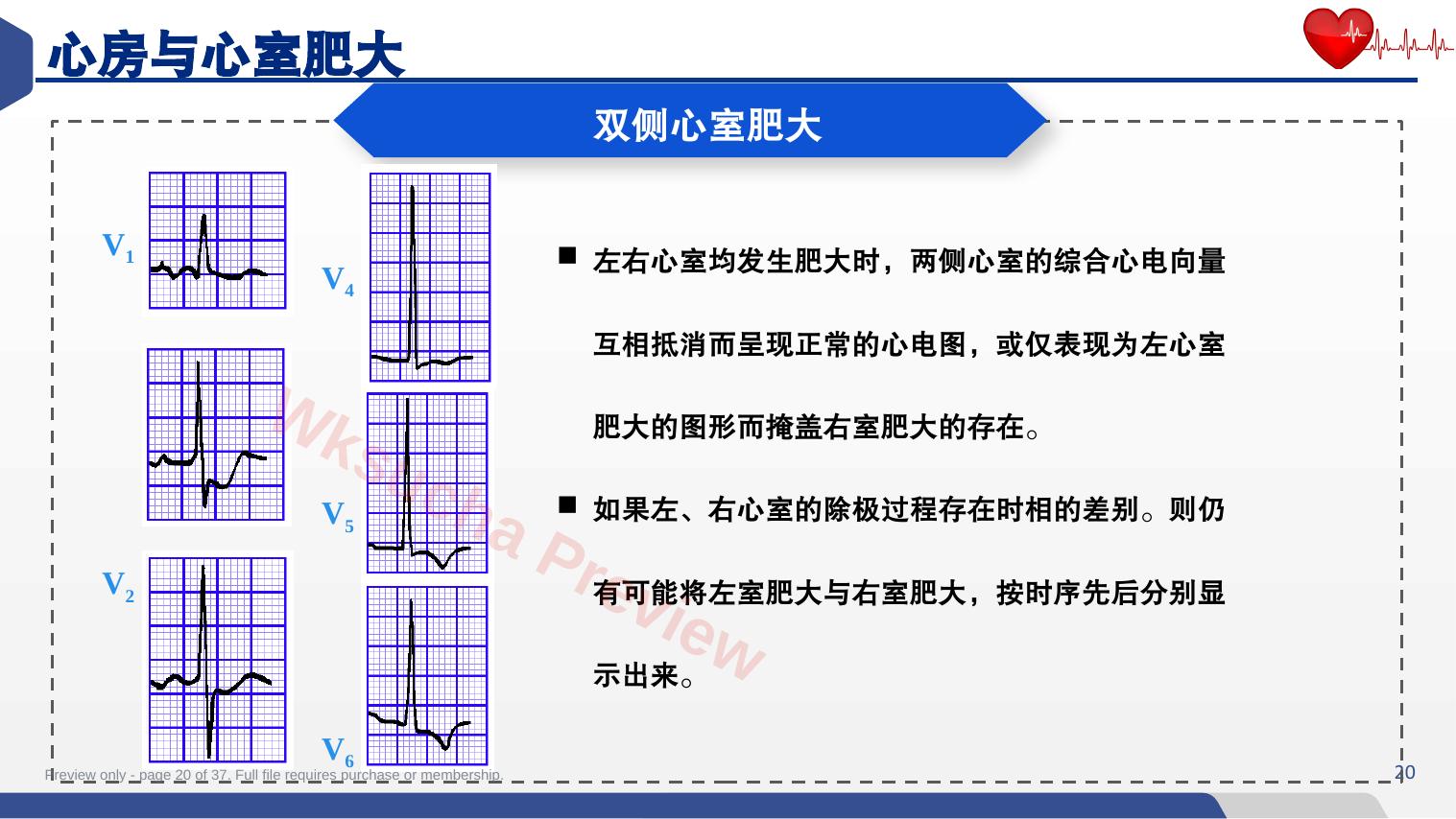 预览第 20 页