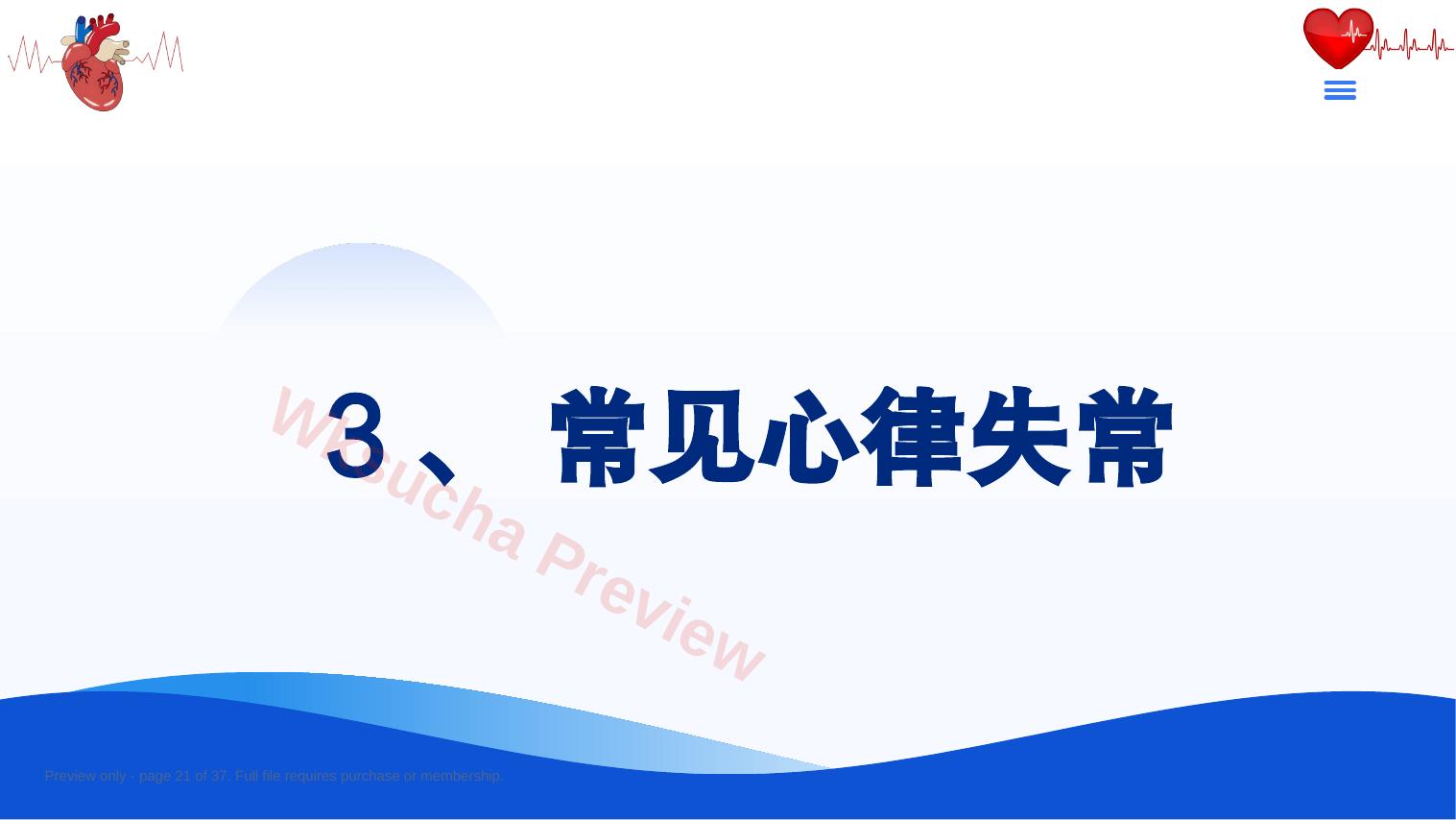 预览第 21 页