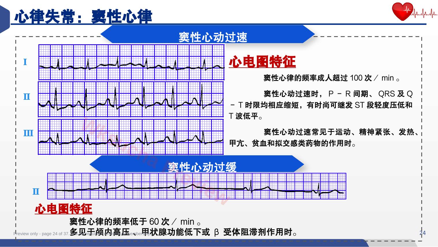 预览第 24 页