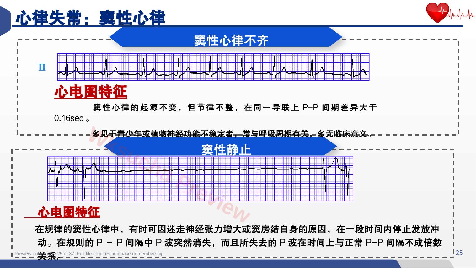 预览第 25 页