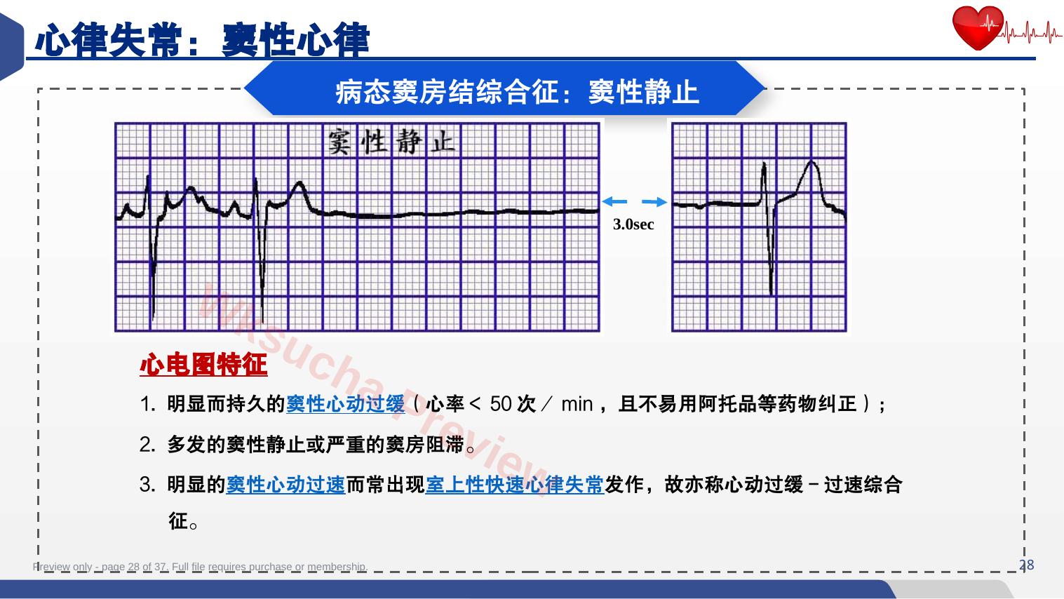 预览第 28 页