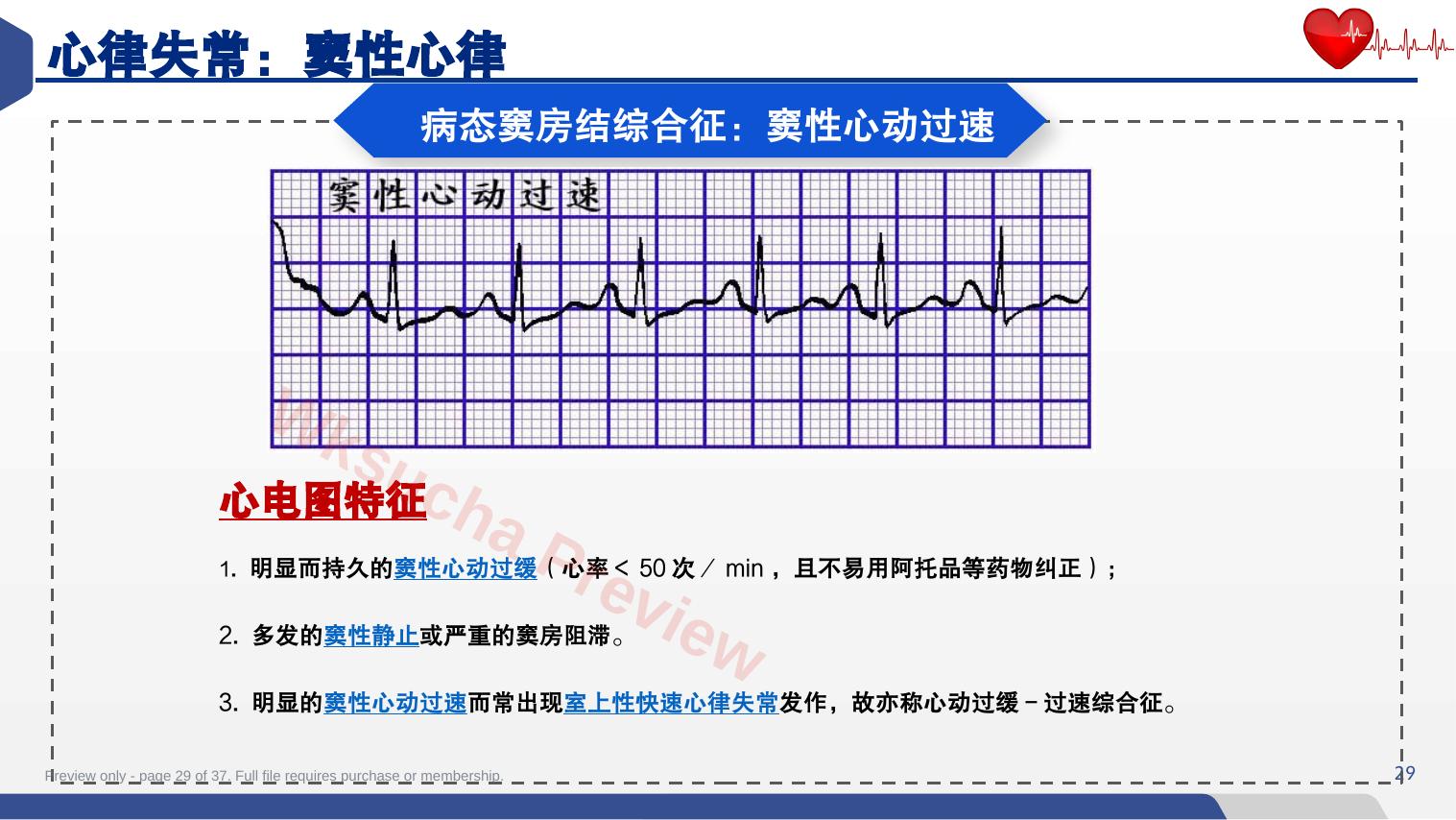 预览第 29 页