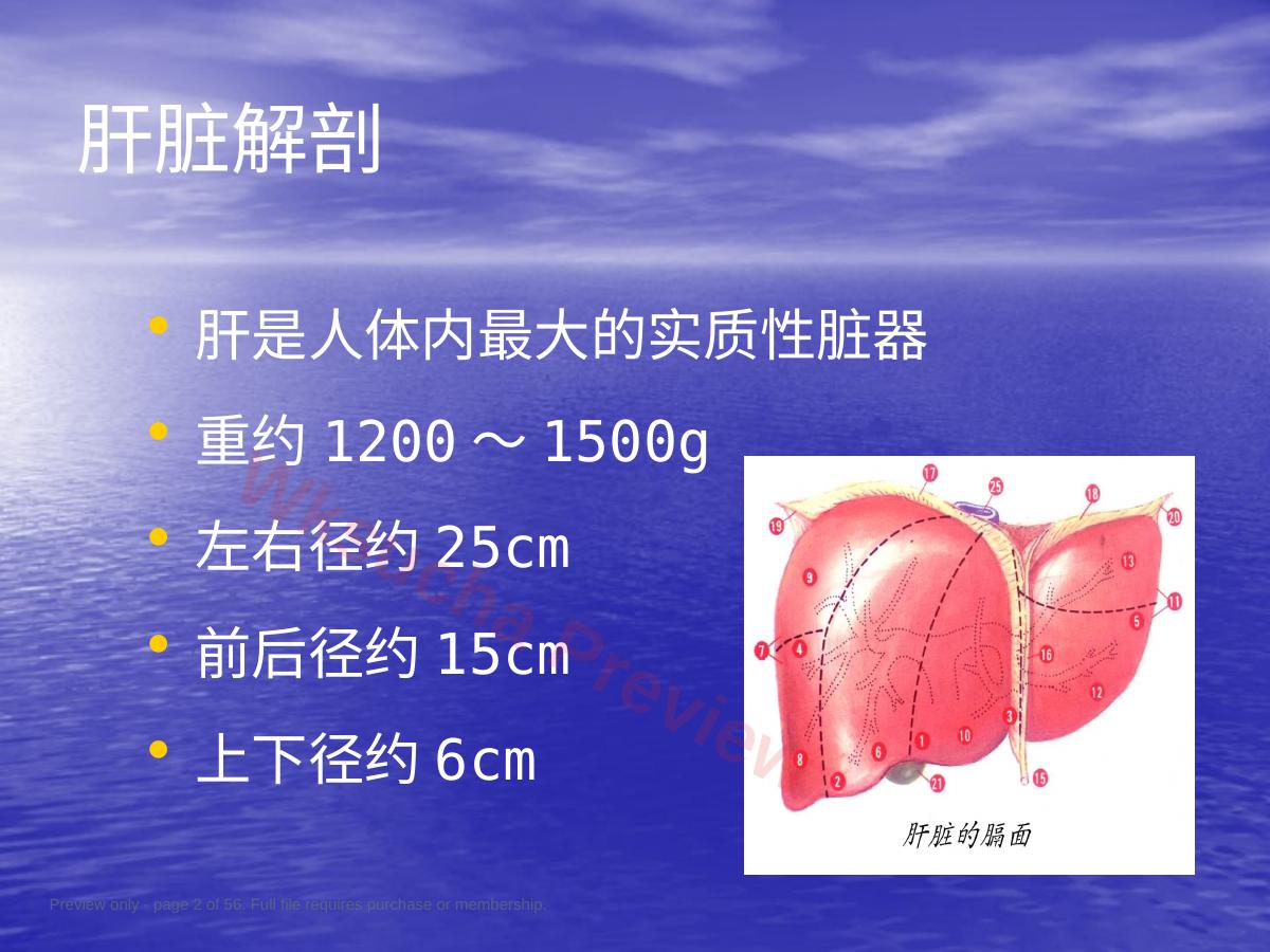 预览第 2 页