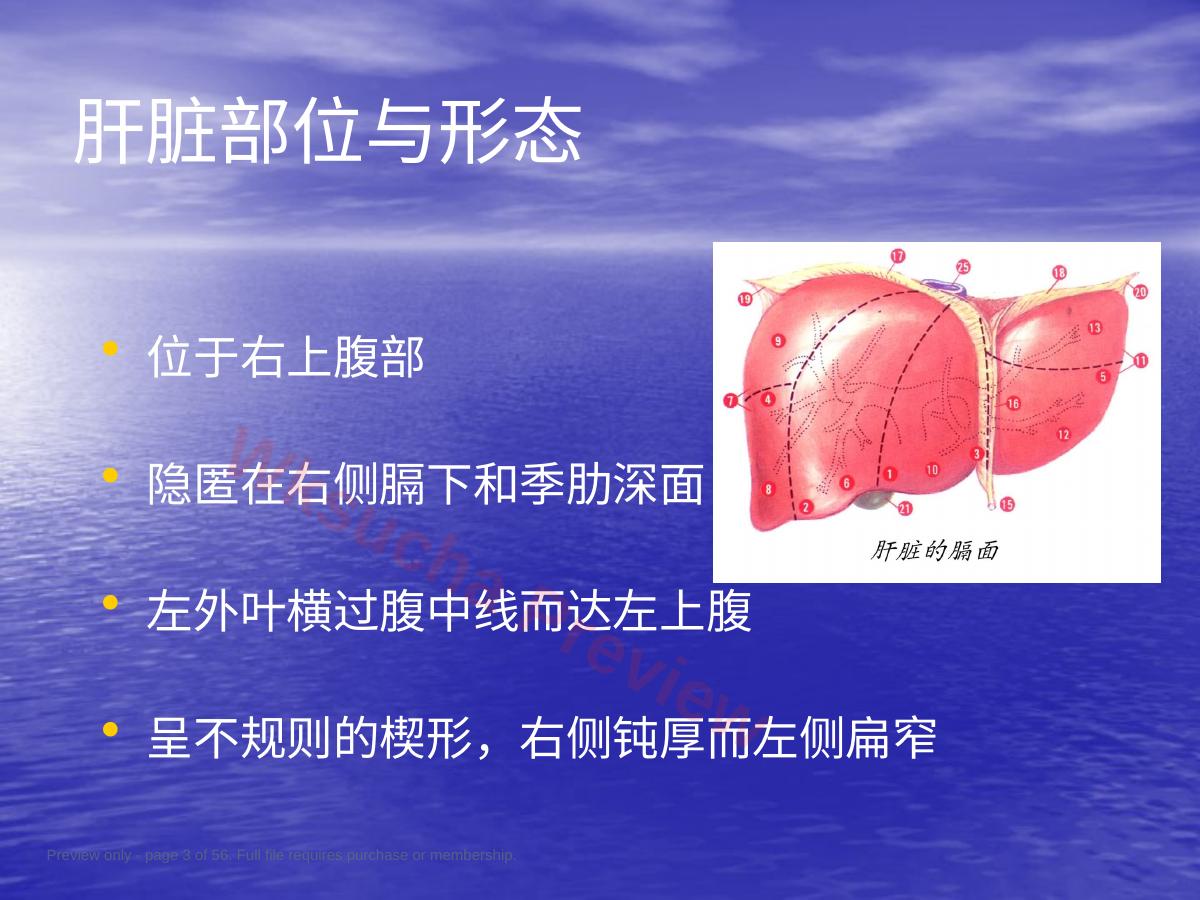 预览第 3 页