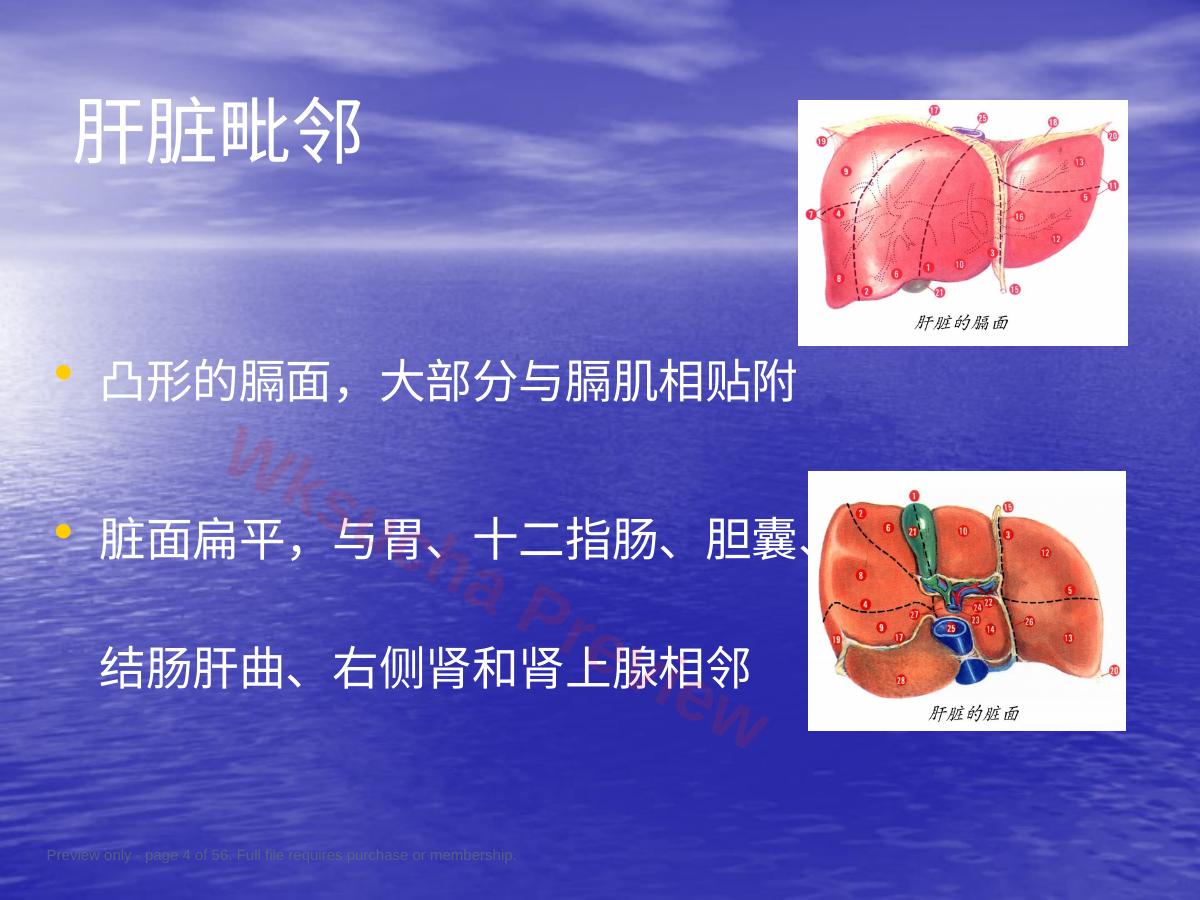 预览第 4 页