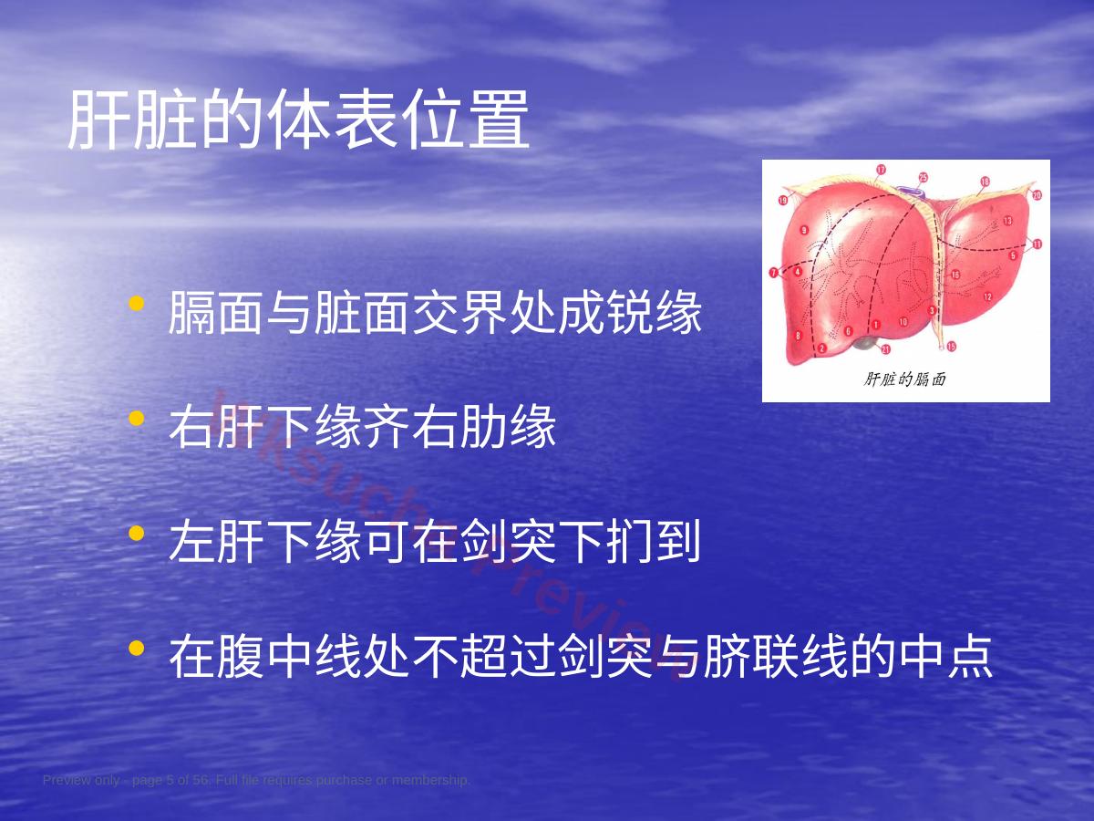 预览第 5 页