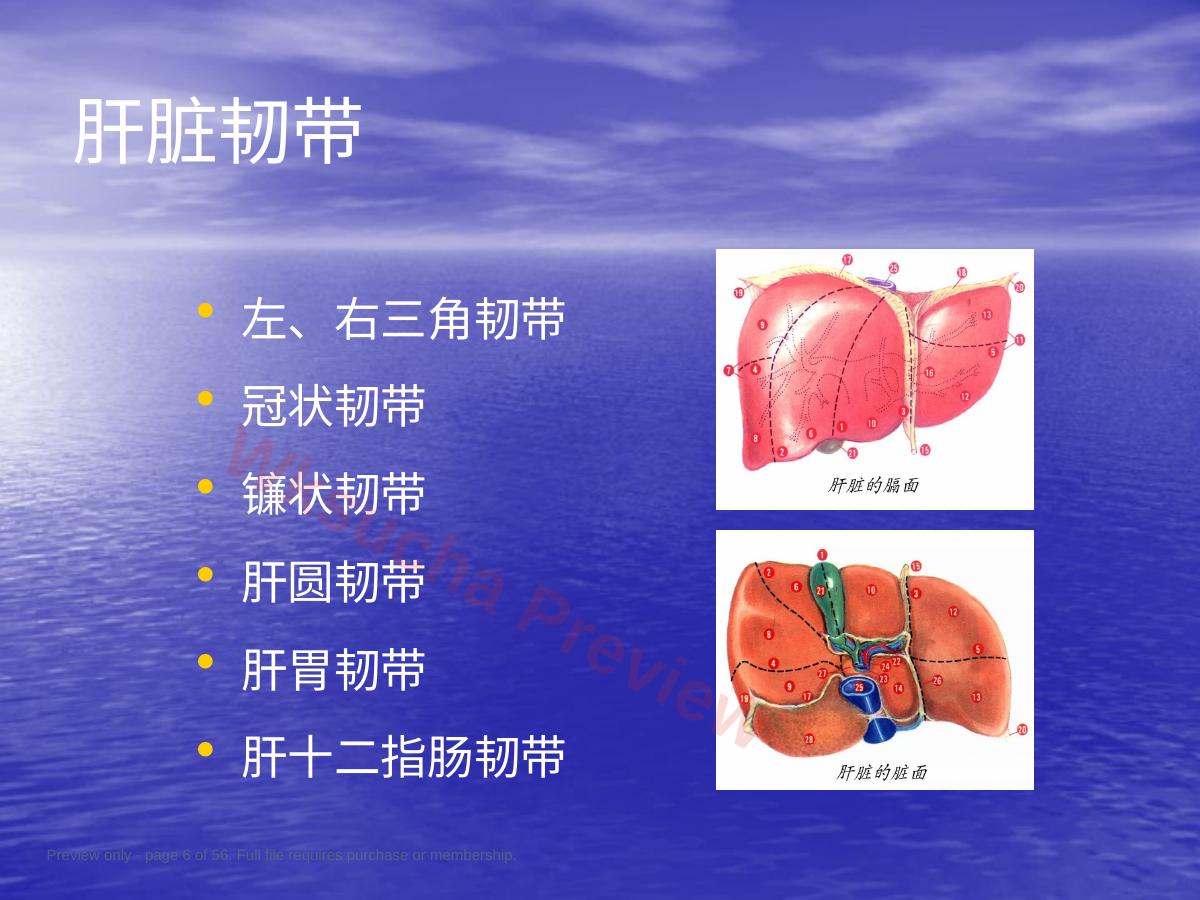 预览第 6 页