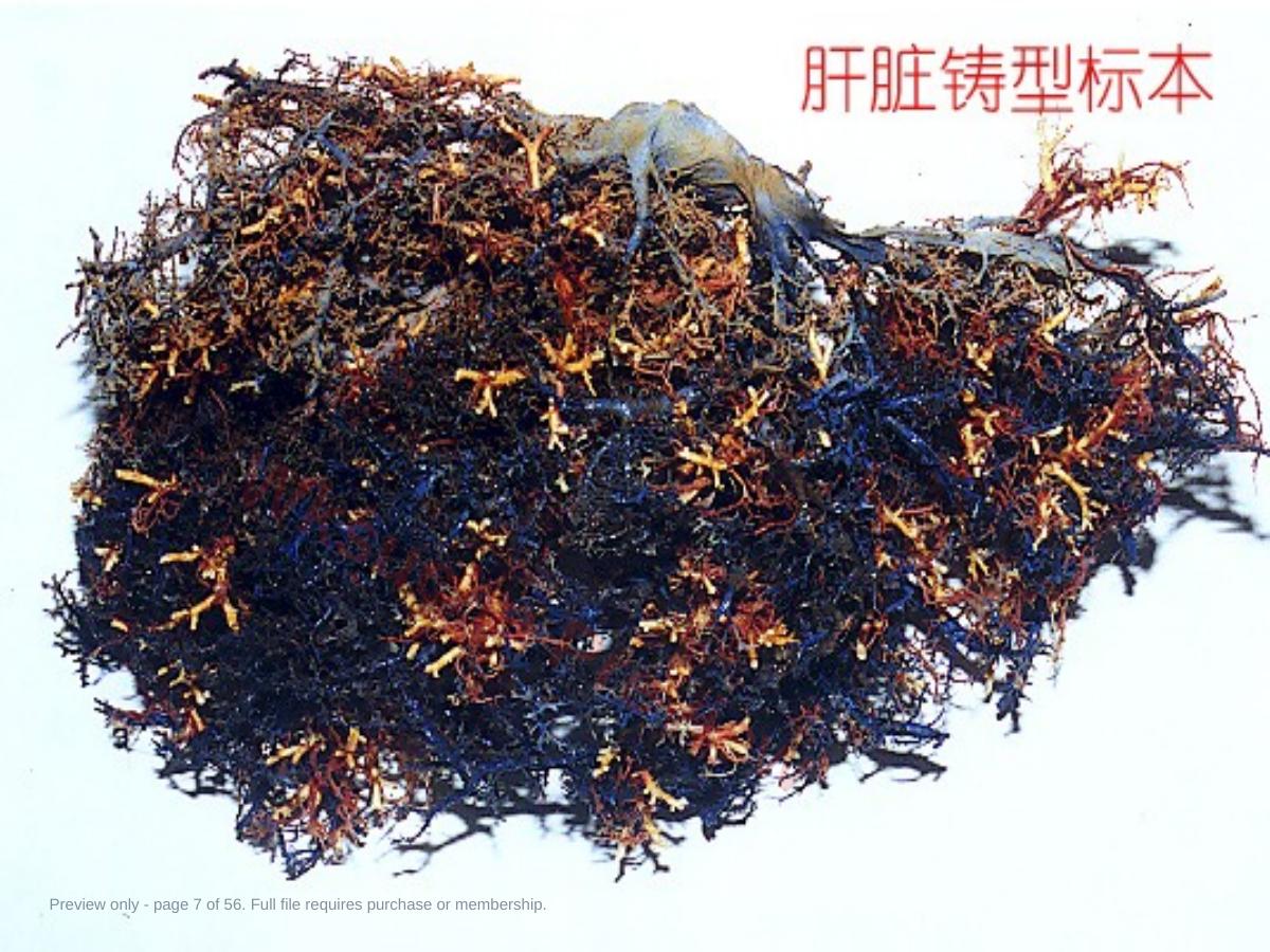 预览第 7 页