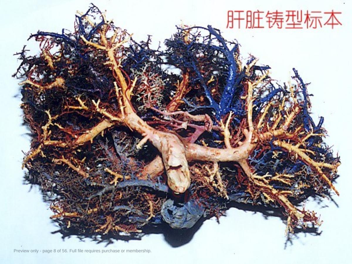 预览第 8 页