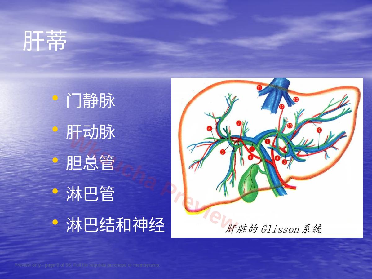预览第 9 页