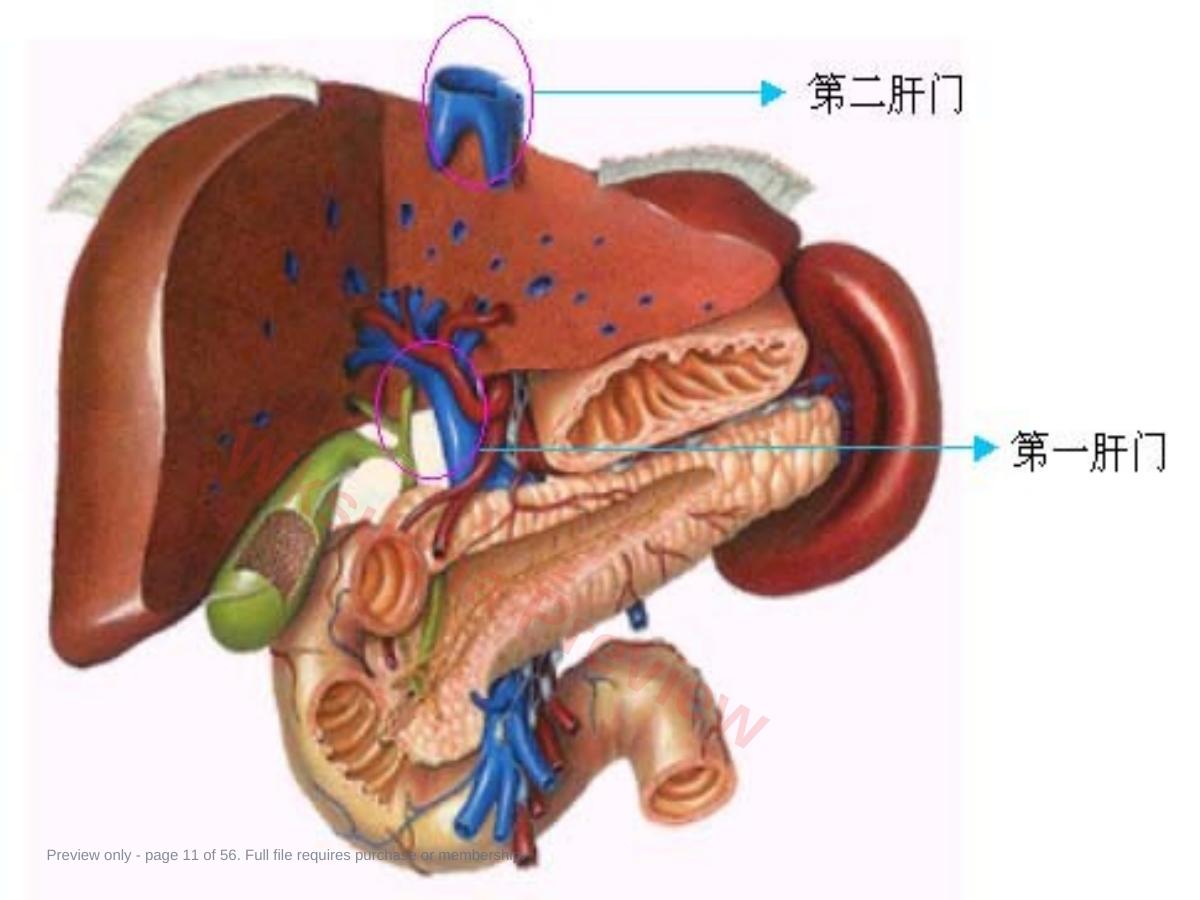 预览第 11 页