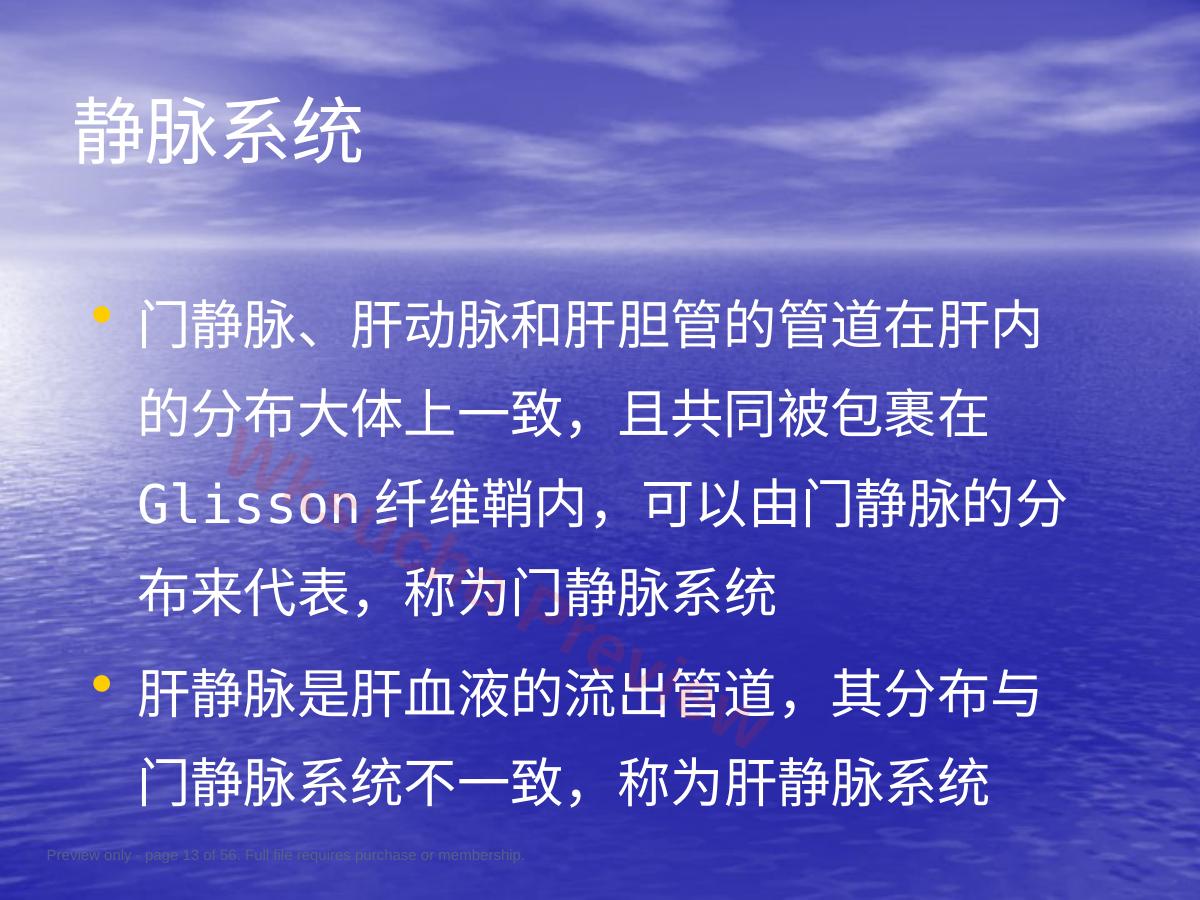 预览第 13 页
