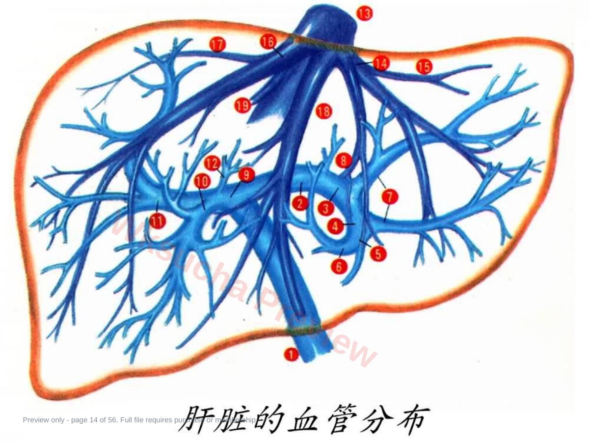 预览第 14 页