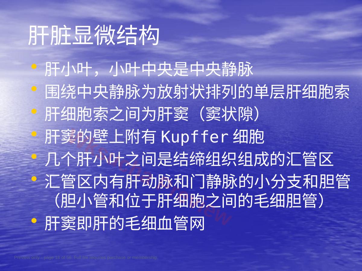 预览第 18 页
