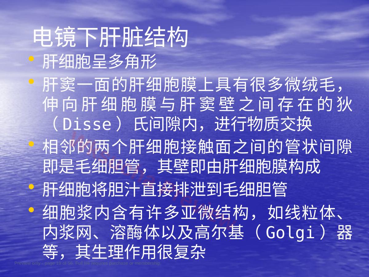 预览第 19 页