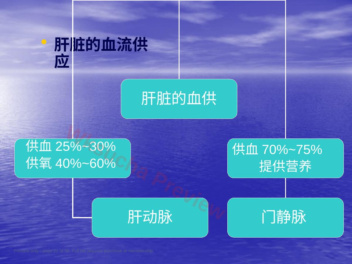 预览第 21 页