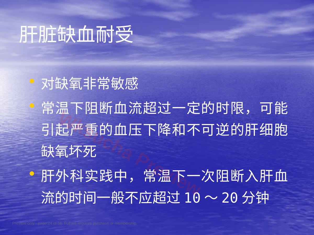 预览第 24 页