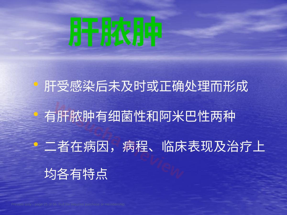 预览第 25 页