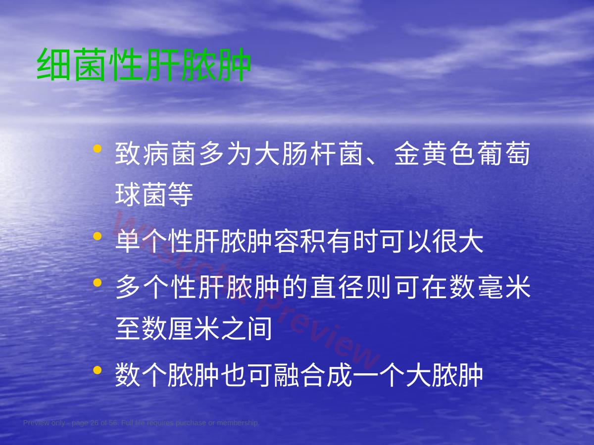 预览第 26 页