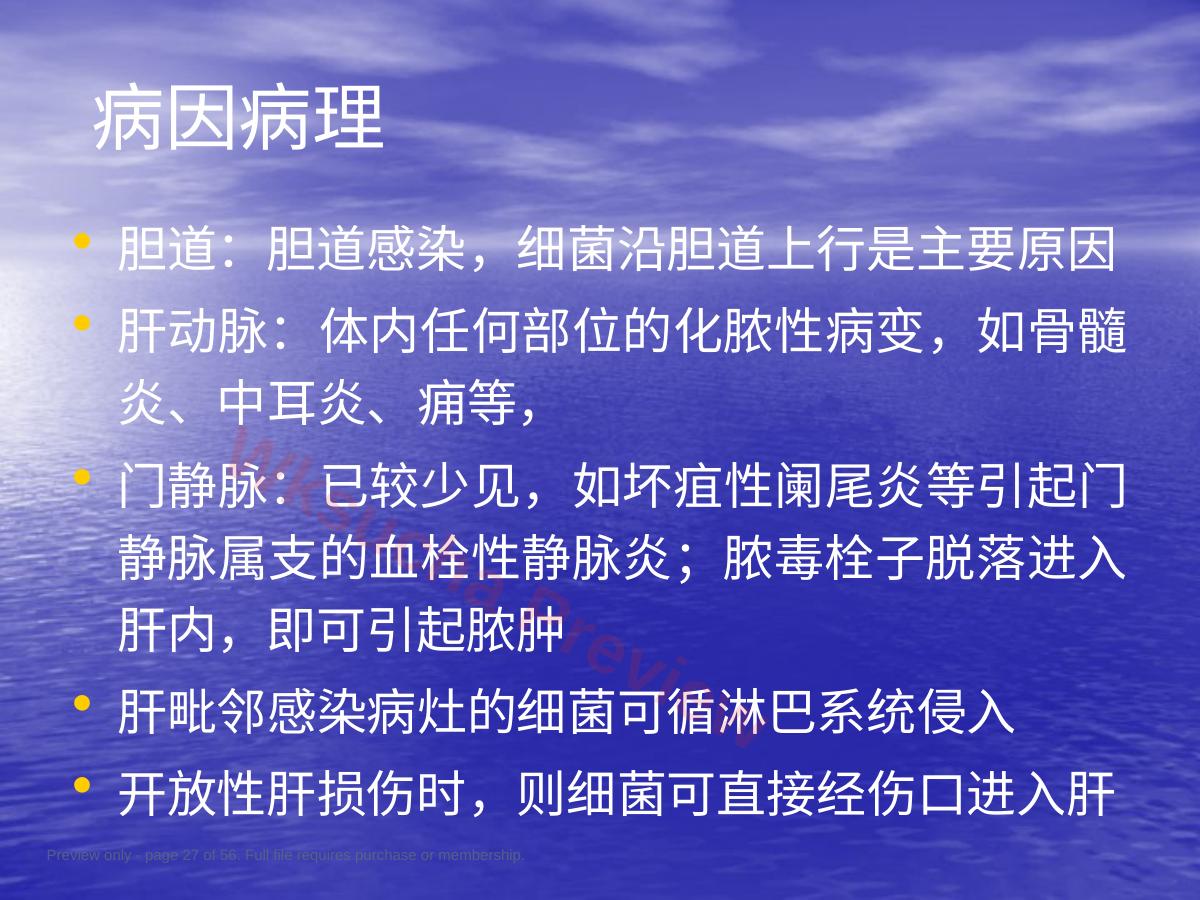 预览第 27 页