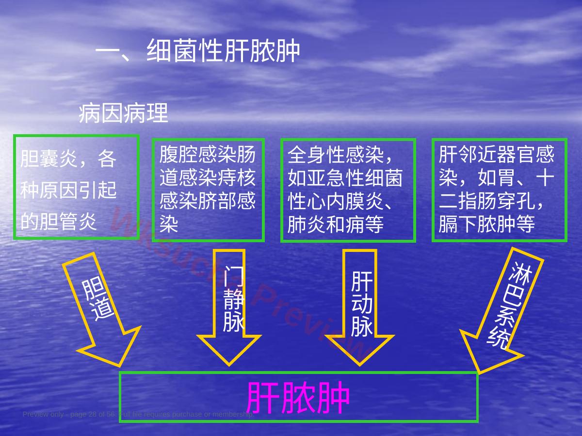 预览第 28 页