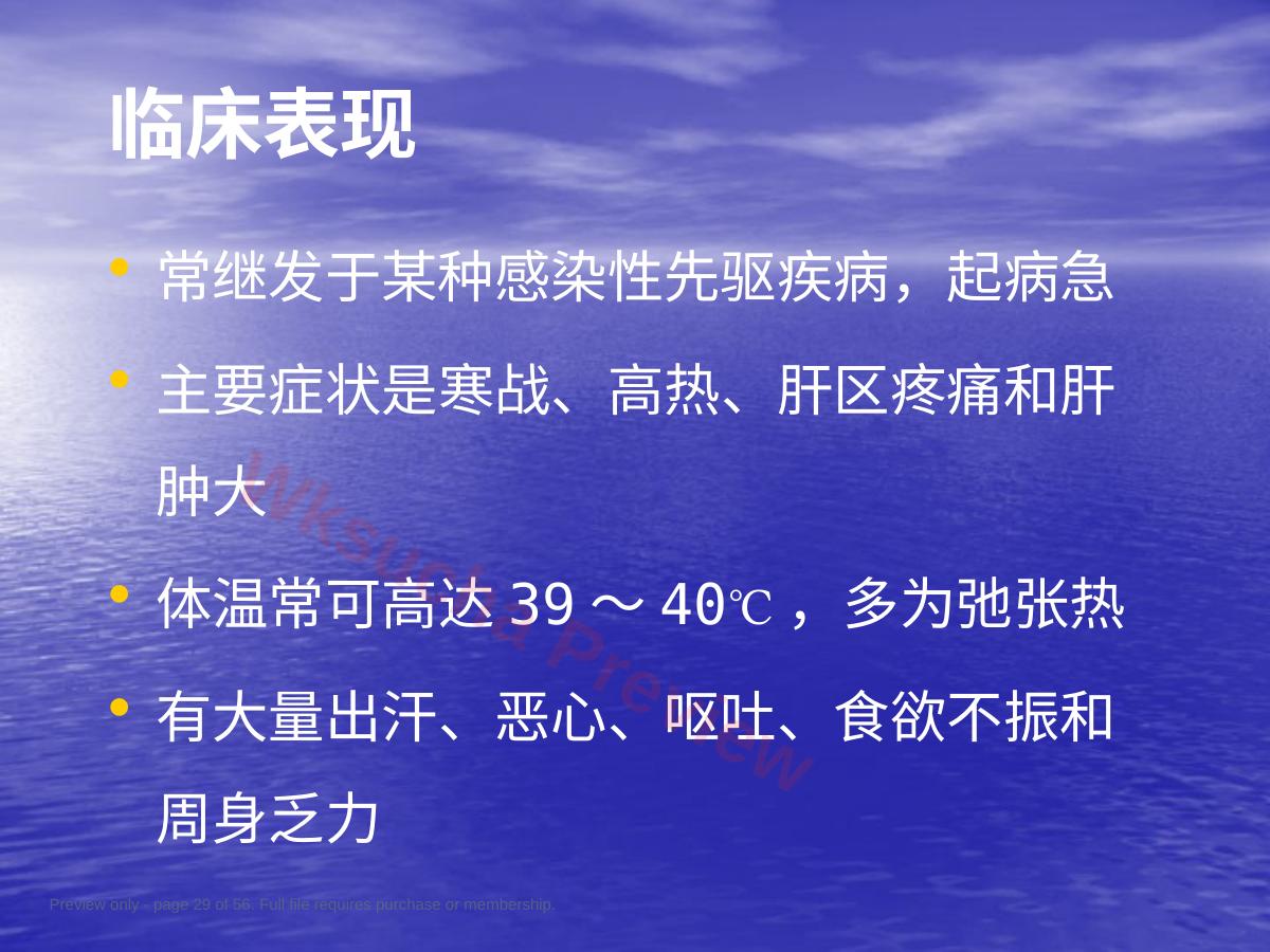 预览第 29 页